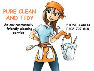 HOME OFFICE CLEANER NORTH BRISBANE