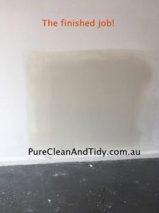 Testimony Cleaner Brisbane